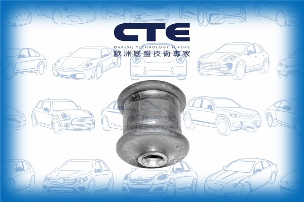 Mounting, control/trailing arm (CBH15003)