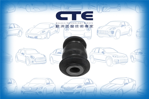 Mounting, control/trailing arm (CBH01045)
