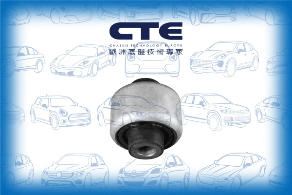 Mounting, control/trailing arm (CBH31018)