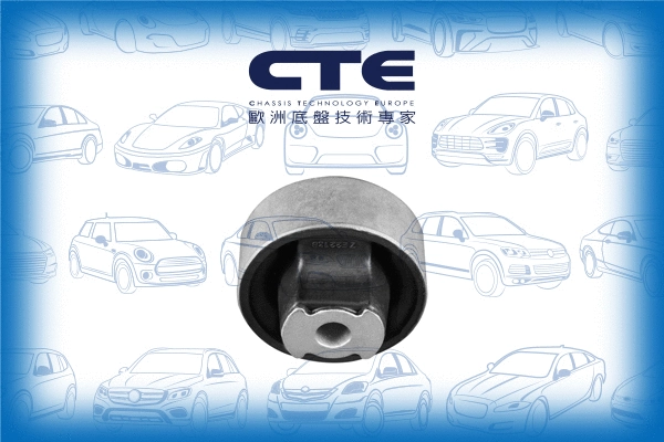 Mounting, control/trailing arm (CBH22019)