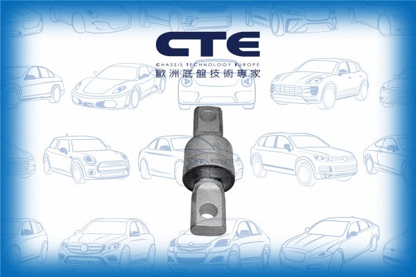 Mounting, control/trailing arm (CBH01011)