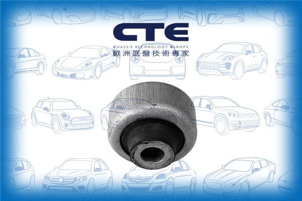 Mounting, control/trailing arm (CBH16013)