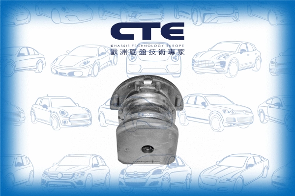 Mounting, control/trailing arm (CBH06006)
