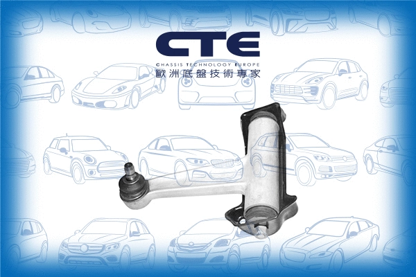 Control/Trailing Arm, wheel suspension (CS-2109L)