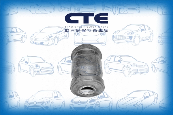 Mounting, control/trailing arm (CBH02012)
