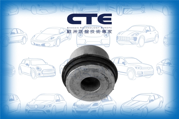 Mounting, control/trailing arm (CBH21011)
