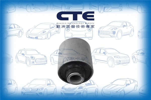 Mounting, control/trailing arm (CBH31006)