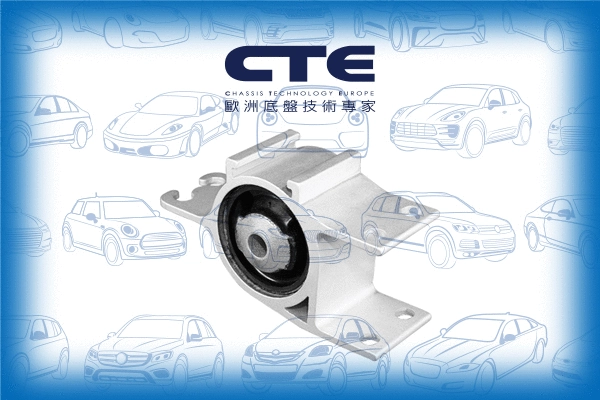 Mounting, control/trailing arm (CBH21043L)