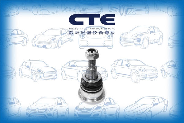 Ball Joint (CBJ09008)