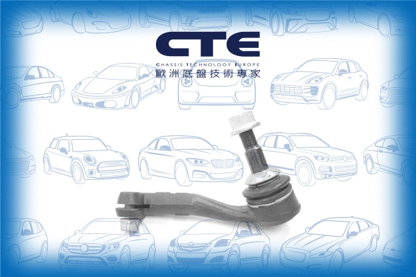 Tie Rod End (CTE09009R)