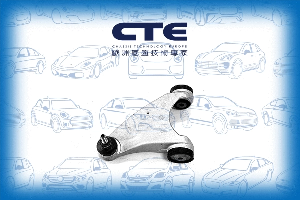 Control/Trailing Arm, wheel suspension (CS-2209L)