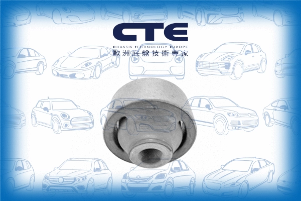 Mounting, control/trailing arm (CBH05019)