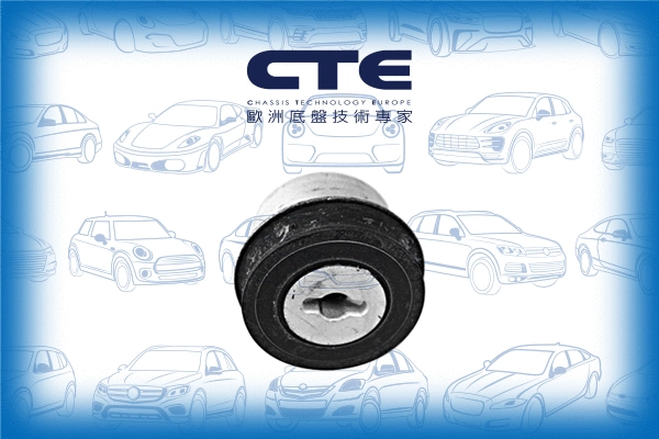 Mounting, control/trailing arm (CBH15016)