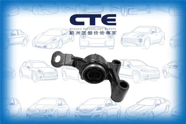 Mounting, control/trailing arm (CBH09032L)