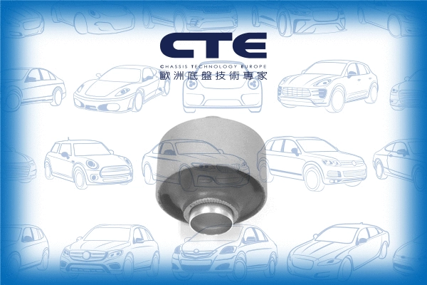 Mounting, control/trailing arm (CBH02011)