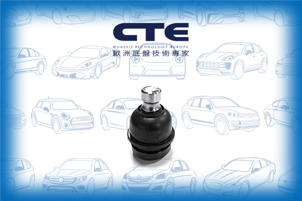 Ball Joint (CBJ05011)