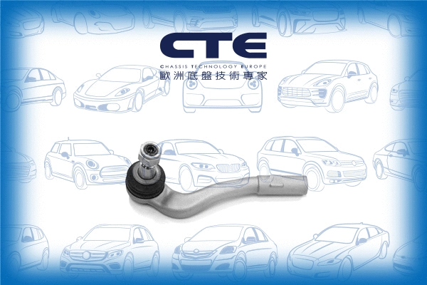 Tie Rod End (CTE21005L)