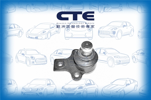 Ball Joint (CBJ20002)