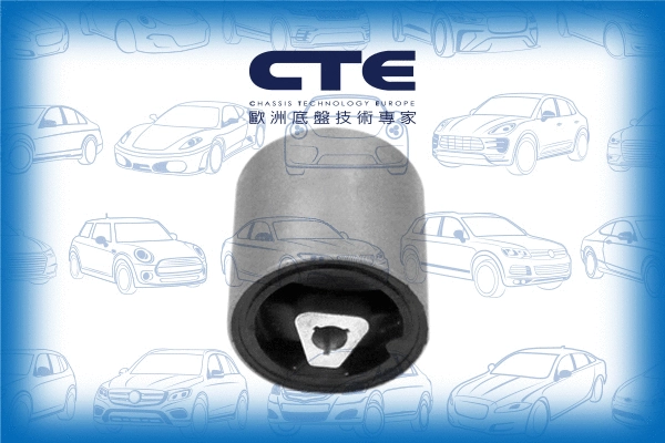 Mounting, control/trailing arm (CBH09029)