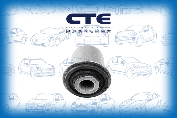Mounting, control/trailing arm (CBH01038)