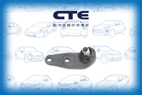 Ball Joint (CBJ19001)