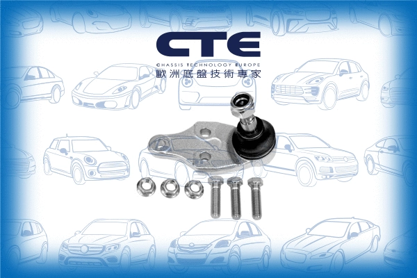 Ball Joint (CBJ31002A)