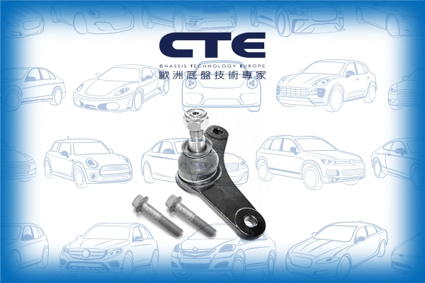 Ball Joint (CBJ09004LA)