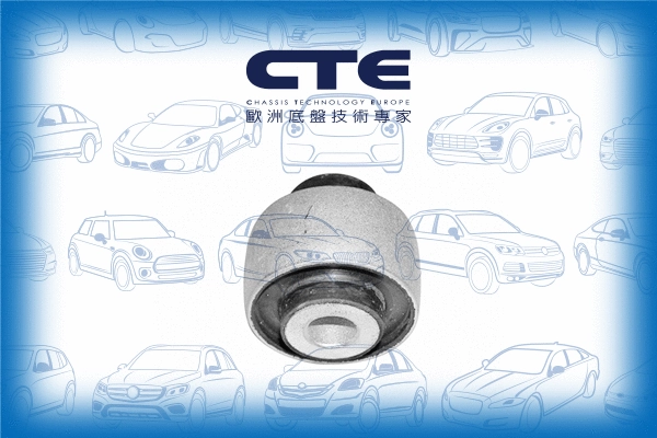 Mounting, control/trailing arm (CBH17011)