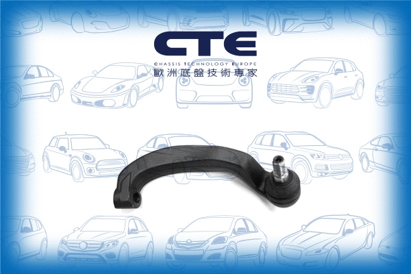 Tie Rod End (CTE21008R)