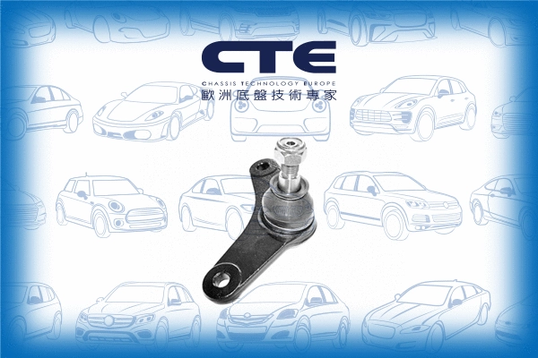 Ball Joint (CBJ09004R)