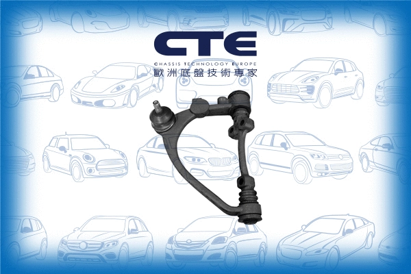 Control/Trailing Arm, wheel suspension (CS-250L)