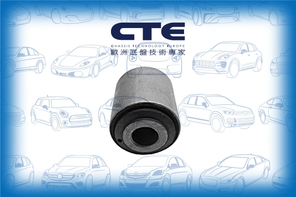 Mounting, control/trailing arm (CBH16020)