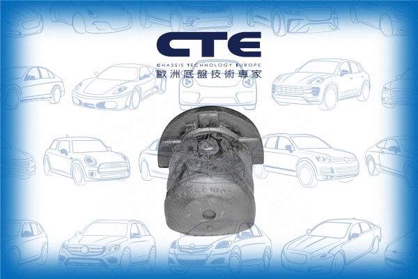 Mounting, control/trailing arm (CBH06010)