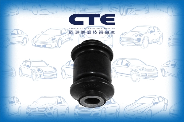Mounting, control/trailing arm (CBH19030)