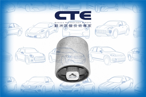 Mounting, control/trailing arm (CBH09005)