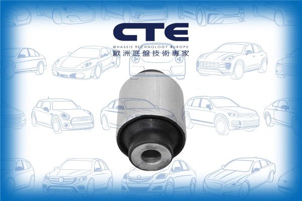 Mounting, control/trailing arm (CBH09036)