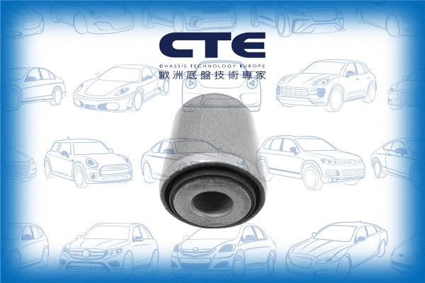 Mounting, control/trailing arm (CBH09043)