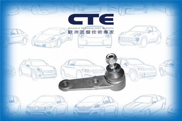 Ball Joint (CBJ17005)