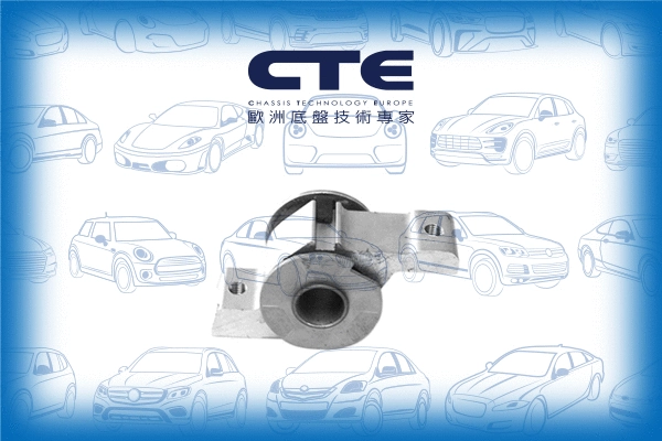 Mounting, control/trailing arm (CBH22009L)