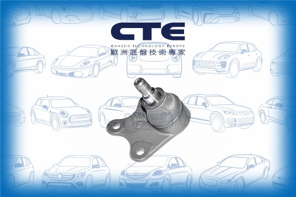 Ball Joint (CBJ20006R)