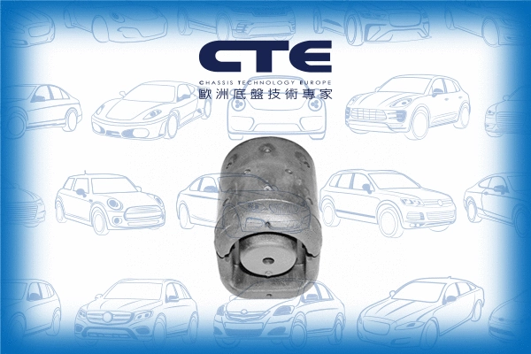 Mounting, control/trailing arm (CBH06008)