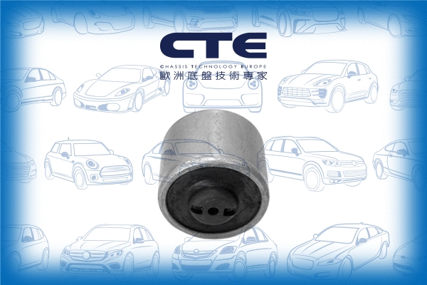 Mounting, control/trailing arm (CBH06034)