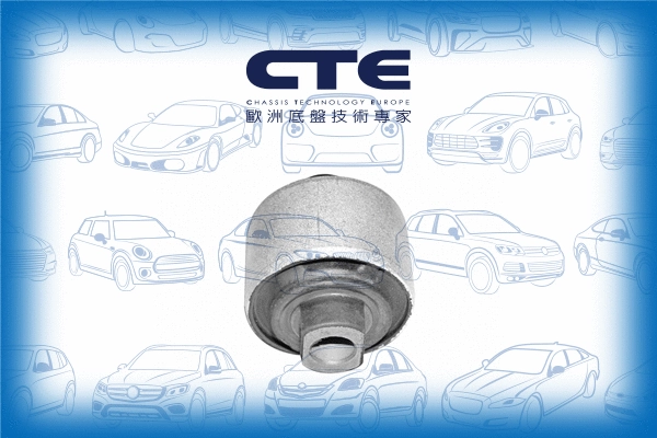 Mounting, control/trailing arm (CBH19008)