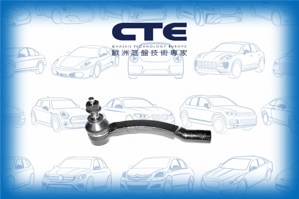 Tie Rod End (CTE17003L)