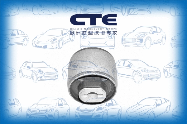 Mounting, control/trailing arm (CBH17008)