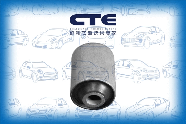 Mounting, control/trailing arm (CBH01007)