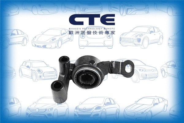 Mounting, control/trailing arm (CBH09021R)