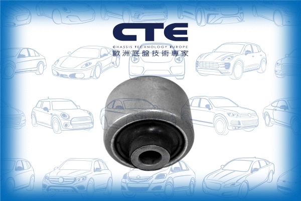 Mounting, control/trailing arm (CBH17030)