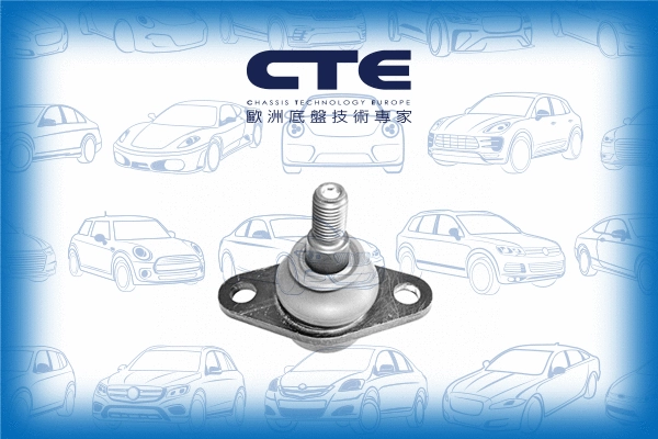 Ball Joint (CBJ09005)