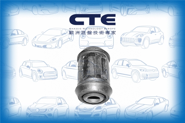 Mounting, control/trailing arm (CBH05007)